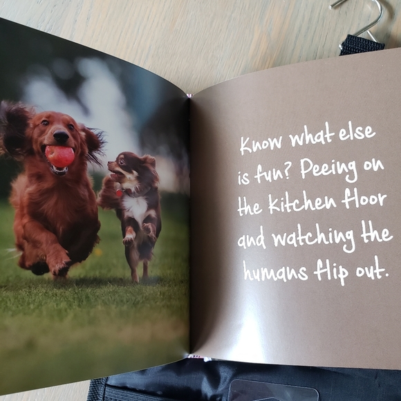 Dog bundle. - Picture 9 of 10